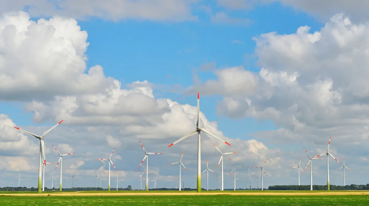 windmill